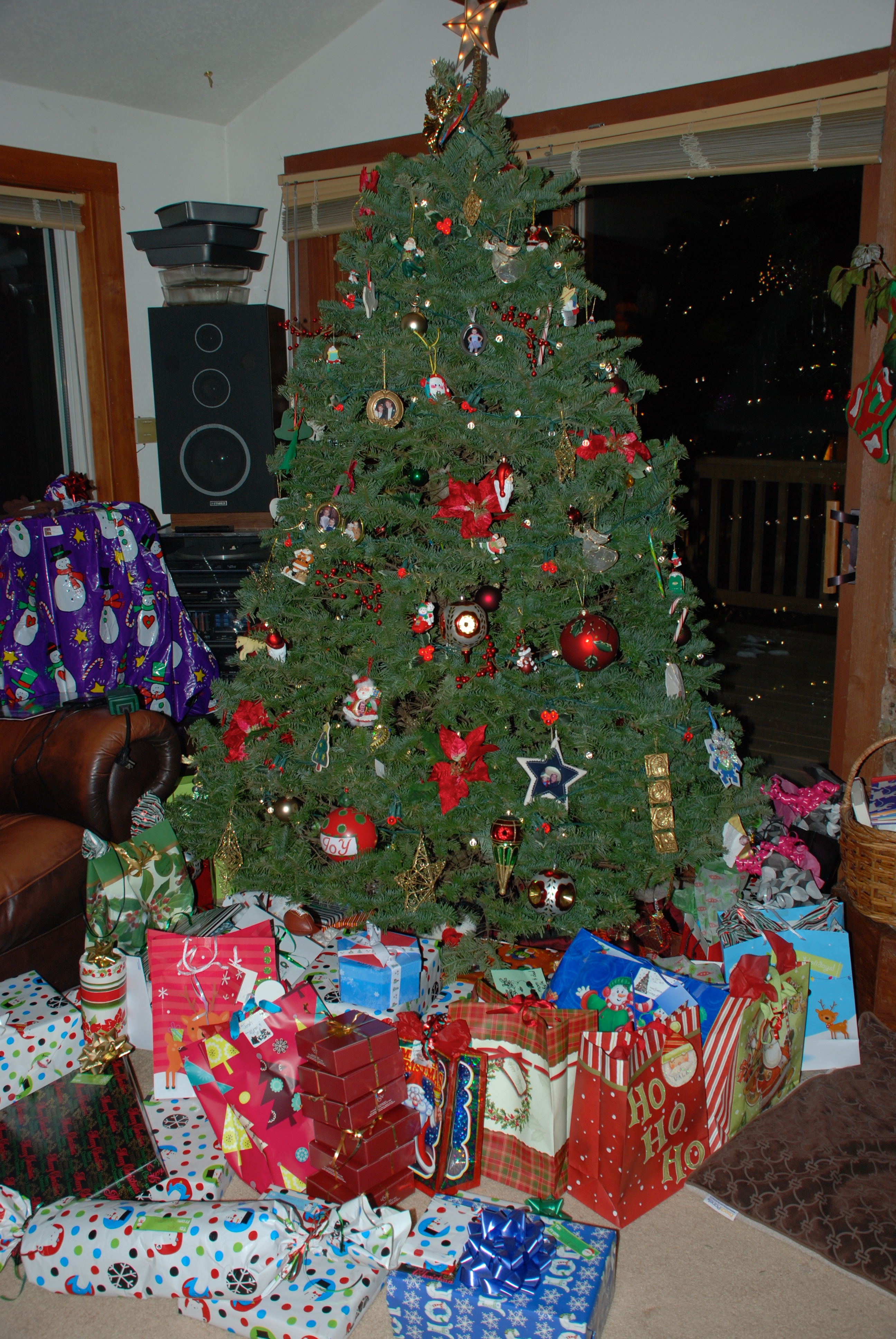 2010-12-24-057 Christmas in Colorado.jpg